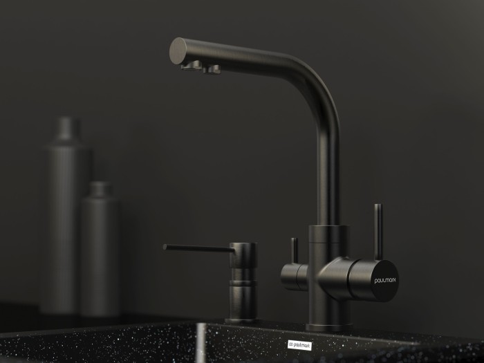Смеситель для кухни  Paulmark ESSEN, PVD, вороненая сталь - Es213011-GM