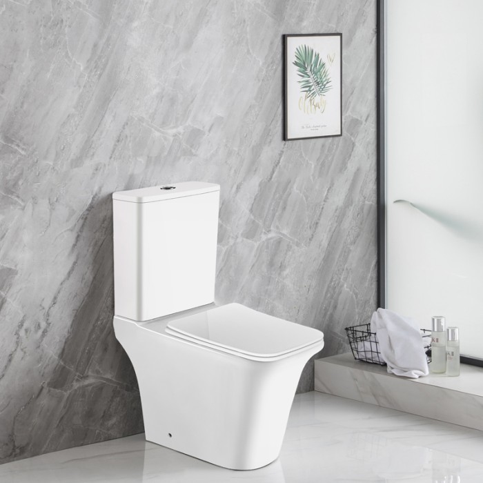 Унитаз-компакт 660x360х820 напольный, безободковый со смывным механизмом Geberit, бачком и сиденьем микролифт, Azario AVERO арт. AZ-1213A-G