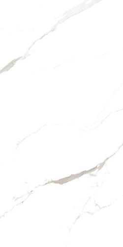 Керамогранит Vena Fine Statuario matt 120x60 Marble Artcer арт. 001024