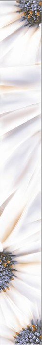 Бордюр border camilla 6.2х50.5 AZORI Ethel арт. 582591002
