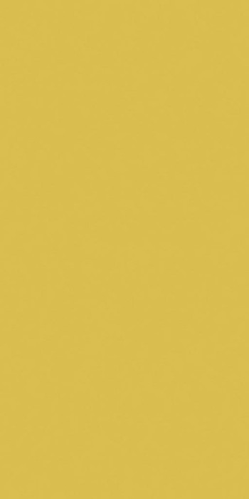 Плитка 14 желтый непол. 60 х120 ESTIMA Your color арт. YC14