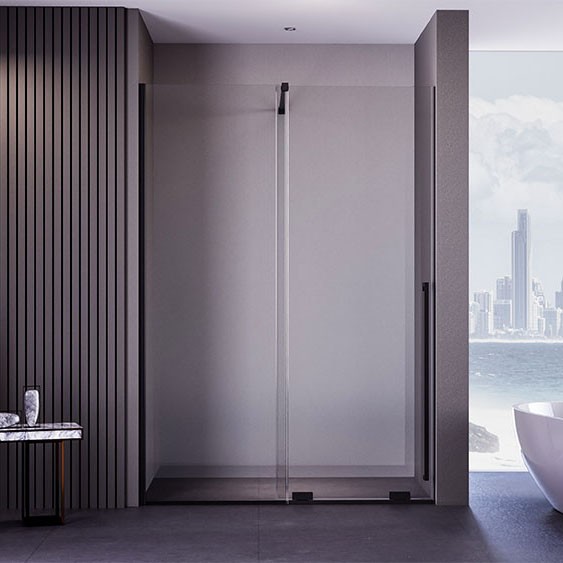 Душевая дверь 1000x2000, Veconi Premium Trento, черный матовый, стекло прозрачное арт. PTDW-50B-100-01-C4