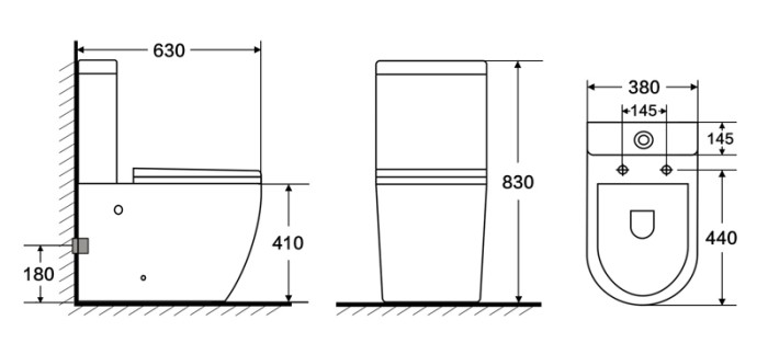 Унитаз-компакт 630x380x830 напольный, безободковый со смывным механизмом Geberit, бачком и сиденьем микролифт, Azario CORSA арт. AZ-2062S-G