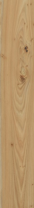 Керамогранит олмо  20x120 Italon Элемент арт. 610010001090