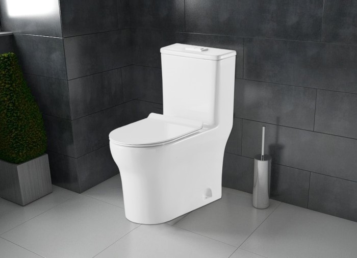 Унитаз-моноблок 720х390х765 напольный, в комплекте с сиденьем дюропласт микролифт, белый, Azario SINTO арт. AZ-1098