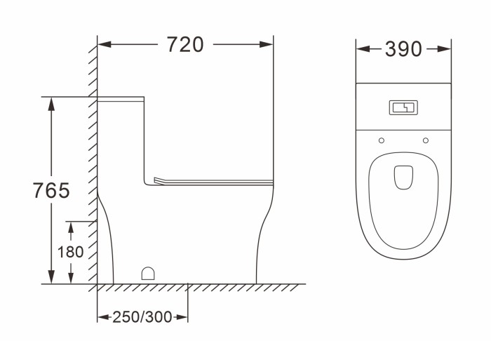 Унитаз-моноблок 720х390х765 напольный, в комплекте с сиденьем дюропласт микролифт, белый, Azario SINTO арт. AZ-1098