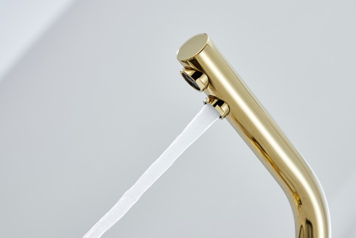 Смеситель для кухни  Paulmark ESSEN, золото - Es213011-G