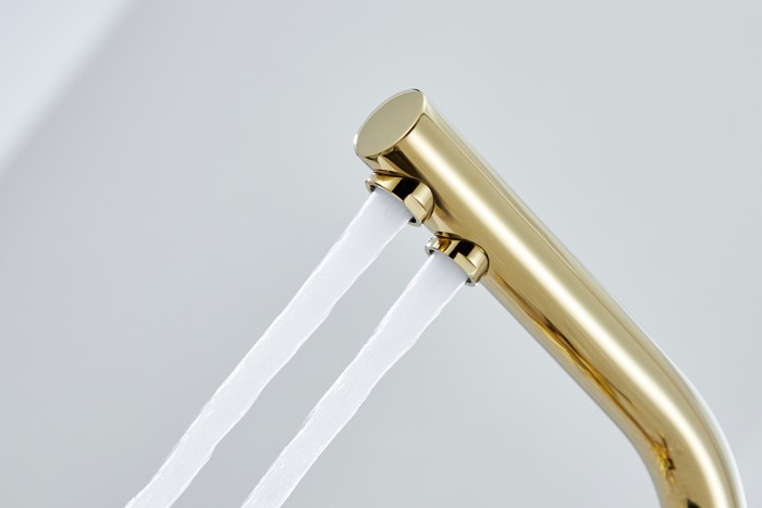 Смеситель для кухни  Paulmark ESSEN, золото - Es213011-G