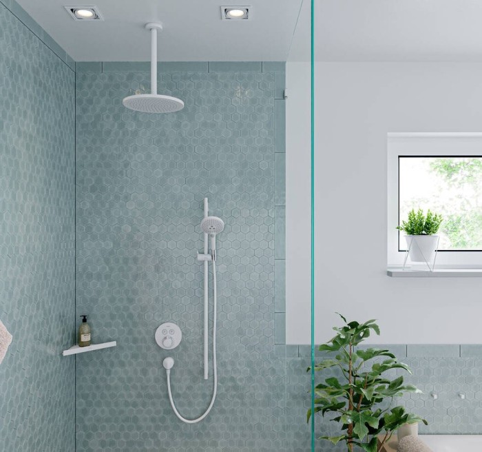 Ручной душ Raindance Select S Hansgrohe, белый арт. 26530700