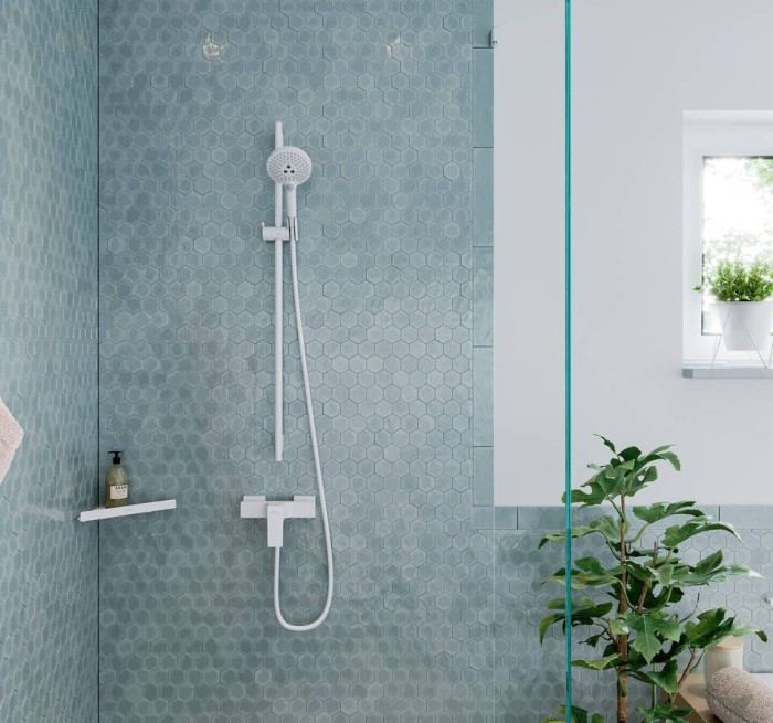 Ручной душ Raindance Select S Hansgrohe, белый арт. 26530700