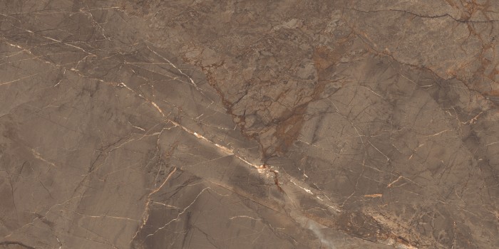 Керамогранит 60x120 ROYAL MARBLE High Glossy Azario арт. E3060821120HG