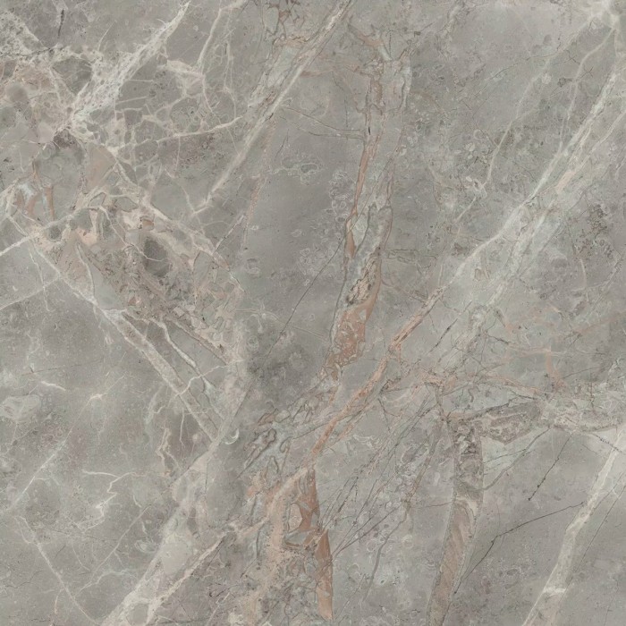 Плитка etoile gris matte 60x60 Florim Etoile de rex арт. 761692