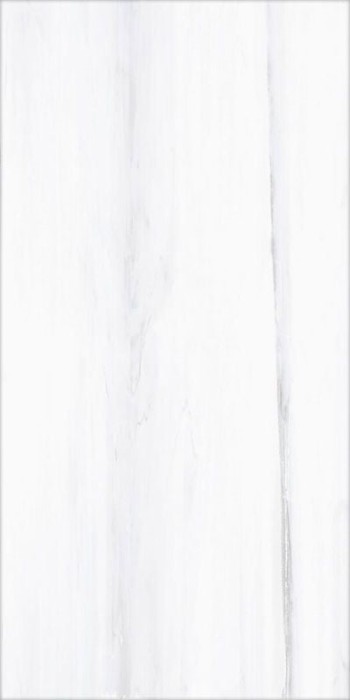 Плитка lasa 60x120 SANT'AGOSTINO Themar арт. CSABILAS12