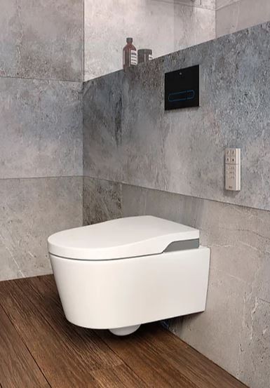 Унитаз подвесной Roca Inspira 803060001 in-wash