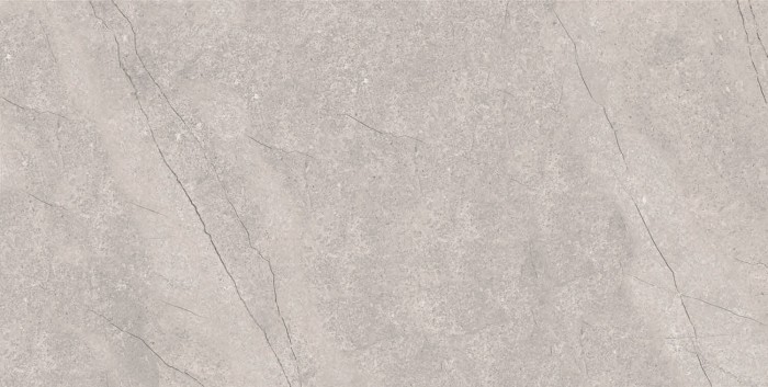 Керамогранит 60x120 FOSSIL GREY Matt Azario арт. E4040821120M