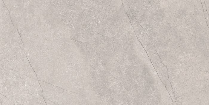 Керамогранит 60x120 FOSSIL GREY Matt Azario арт. E4040821120M