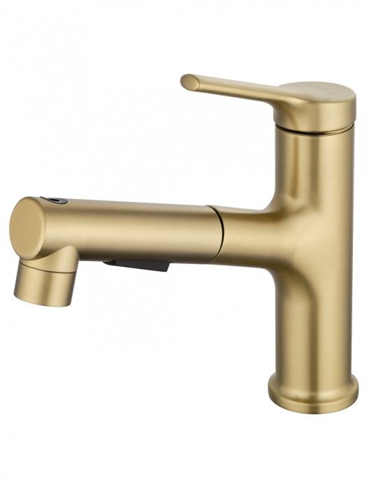 Смеситель для раковины с выдвижным изливом, Wonzon &amp; Woghand, WW-A40862-BG цвет: золото