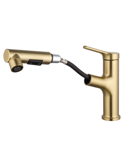 Смеситель для раковины с выдвижным изливом, Wonzon & Woghand, WW-A40862-BG цвет: золото
