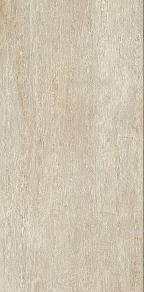 Плитка nat 60x120 CIR / SERENISSIMA Fossil арт. n083749