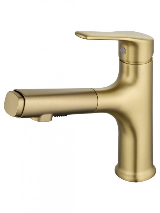 Смеситель для раковины с выдвижным изливом, Wonzon &amp; Woghand, WW-AE4151-BG цвет: золото