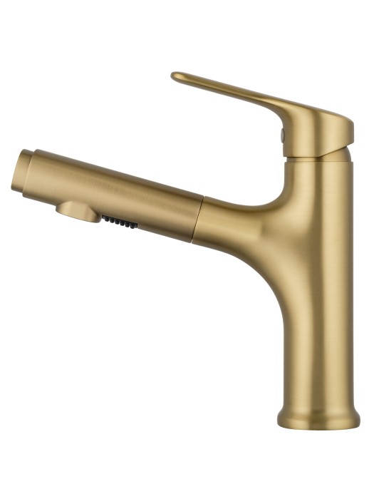 Смеситель для раковины с выдвижным изливом, Wonzon & Woghand, WW-AE4151-BG цвет: золото