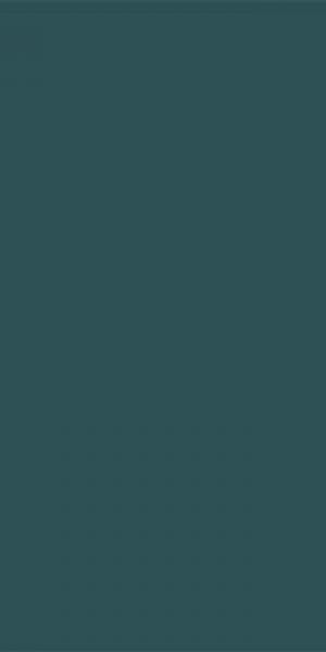 Плитка 89 темн зеленый непол. 60 х120 ESTIMA Your color арт. YC89