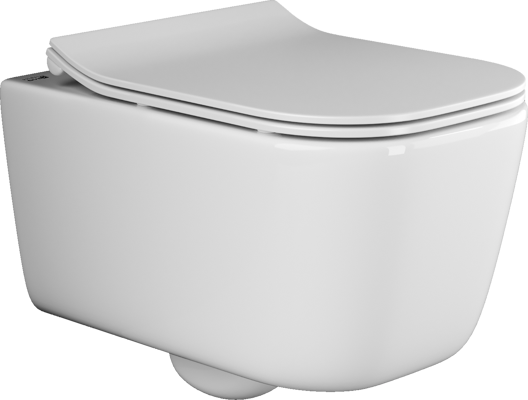 Подвесной унитаз с сиденьем Ceramicanova New day, белый арт. CN3005