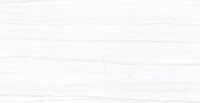 Керамогранит 60x120 SALENT GREY Glossy Azario арт. F2070821120G